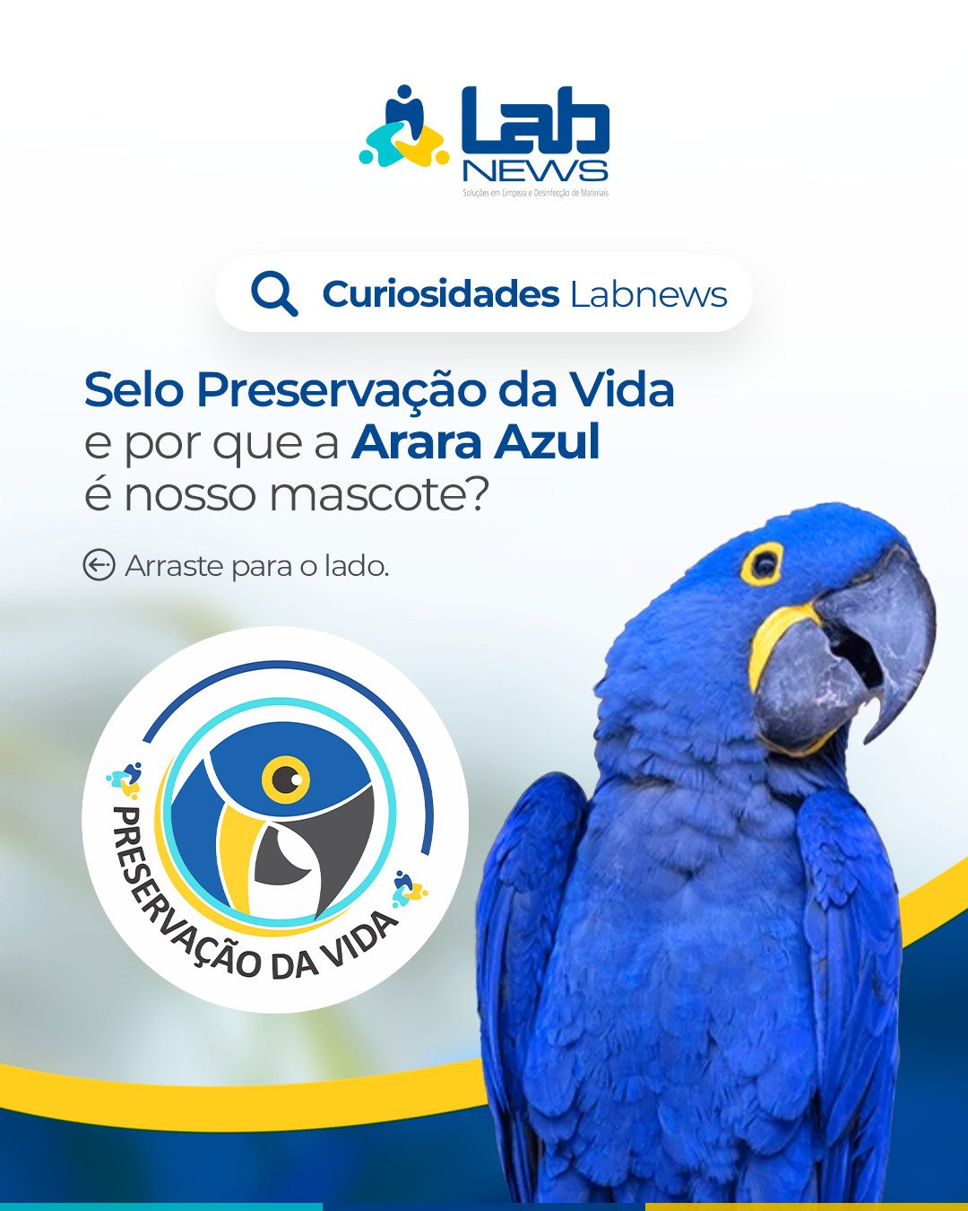 Selo Preservação da Vida e por que a Arara-Azul é o nosso mascote?