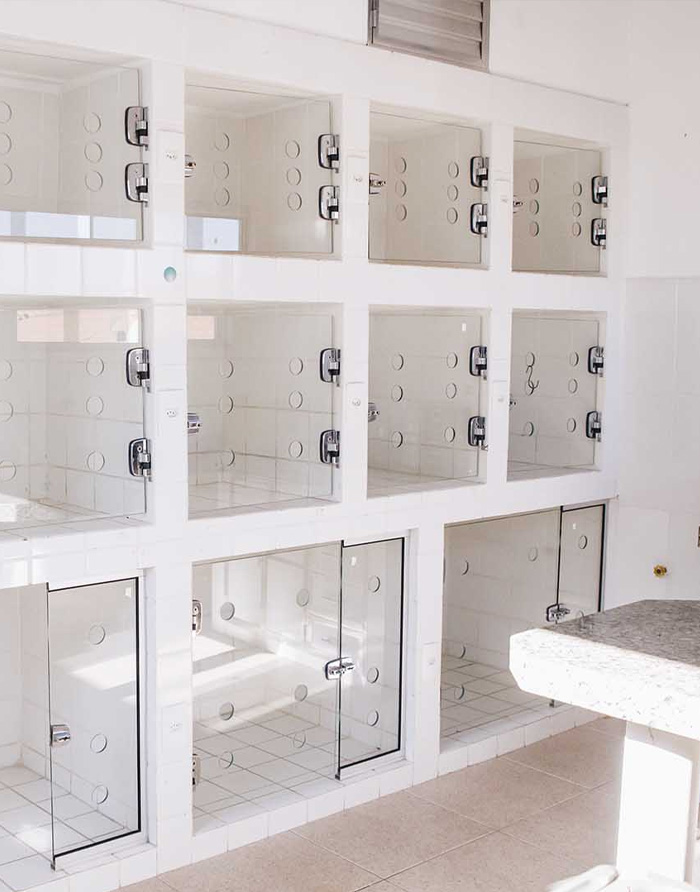 Desinfecção de Alta Tecnologia