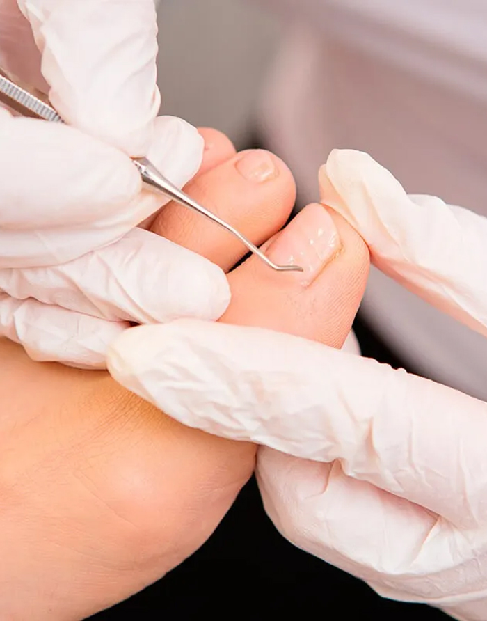 Limpeza e Conservação de Instrumentais