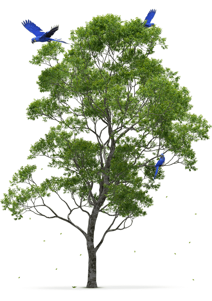 cuidamos da saúde das pessoas de maneira sustentável